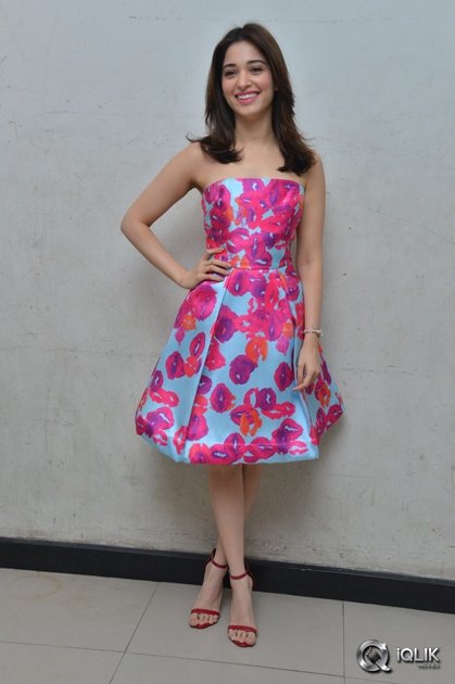 Tamannaah-Interview-About-Okkadochadu